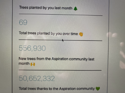 Trees planted